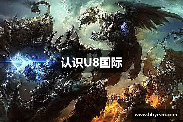 认识U8国际